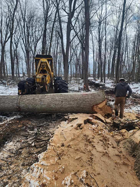 B&T Logging, LLC - Michigan, USA